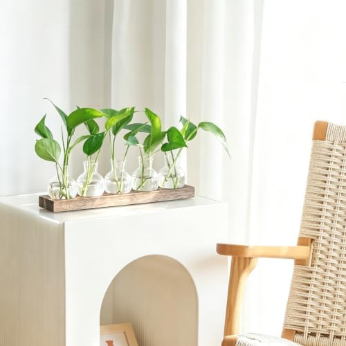 Plant Propagation Station, Plants Terrarium with Wooden Stand - Image 2