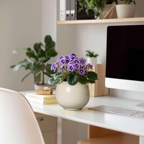 6 Inch Self Watering Pots for Indoor Plants, Ceramic African Violet Pots with Absorbent Inner Pot, Easy Self Watering Planter, Round Ceramic Flower Pot, Patio Decor, Gardening Gifts, Beige - Image 3