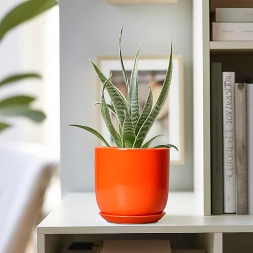5 Inch Plant Pot - Ceramic Planter for Succulent Cactus Herbs Indoor Plants, Modern Round Flower Pot with Drainage Hole and Saucer, Gifts for Plant Lovers, Patio Office Home Decor, Orange - Image 5