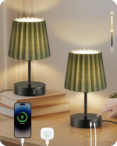 Small Bedside Table Lamps Set of 2, Touch Dimmable Table Lamps with USB Ports, Nightstand Lamps with 2 Stepless Dimming LED Bulbs, E26 Base, for Bedroom, Study, Black and Green J16TLP205 by GOEBLESON