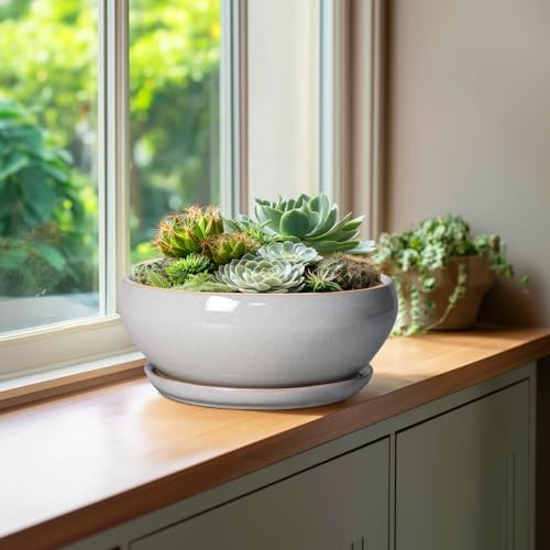 SQOWL Bonsai Pots - 10 Inch Ceramic Succulent Pots with Drainage Hole and Saucer, Large Shallow Indoor Planter, Bowl Round Planter Outdoor, Living Room Decor, Plant Lover Gifts, Gray - Image 4