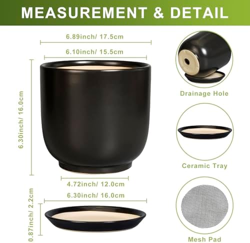 Ceramic Planter 7 Inch - Cylinder Round Modern Indoor Plant Pot for Plants with Drainage Hole and Saucer, Room Home Patio Office Patio Decor, Black - Image 3