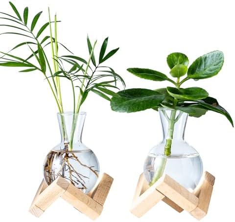 Propagation Stations, Propagation vases with Wooden Stand, Small Tabletop Glass Bulb Vases for Hydroponics Plant Propagation Station Home Office Decoration, Gift for Women Plant Lovers (2) by wangsdjy
