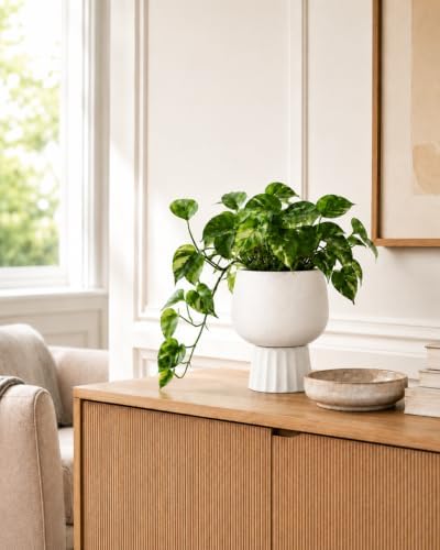 Self Watering Pots for Indoor Plants, 6 Inch Ceramic African Violet Pot - Image 6