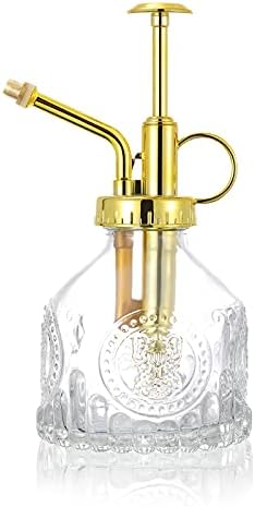 Glass Plant Mister Spray Bottle, Vintage Succulent Water Sprayer with Golden Top Pump, Small Sprayer Mister for Indoor Outdoor House Plants - Clear by Ebristar