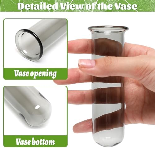 Glass Plant Propagation Station with 5 Test Tubes Colorful Planter Vase - Image 3