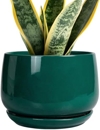 G EPGardening Ceramic Planter for Indoor Plants - 7 Inch Plant Pot, Round Planter with Drainage and Saucer, Round Flower Pots for Outdoor, Modern Desk Decor, Gift for Women Men, Green by GEPGardening