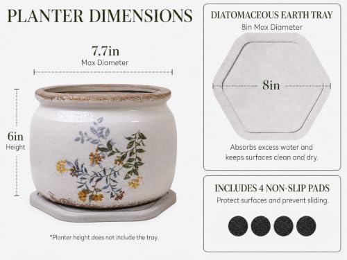 Rustic Cottage Ceramic Plant Pot with Decorative Saucer, Plant Lover Gifts - Image 3