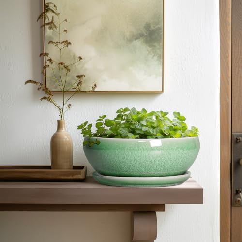 SQOWL Bonsai Pots - 10 Inch Ceramic Succulent Pots with Drainage Hole and Saucer, Shallow Planter for Indoor Plants Flowers, Round Planter Bowl, Living Room Decor, Plant Lover Gifts, Green - Image 6