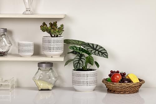 Docrin 3-Pack Ceramic Plant pots Set - 6.5"+5.3"+4" Dual-Tone Flower Pots with Drainage Holes, Modern Indoor Outdoor Planters for Succulents/Herbs/Large Plants, Home Office (Brownish Black & White) - Image 5