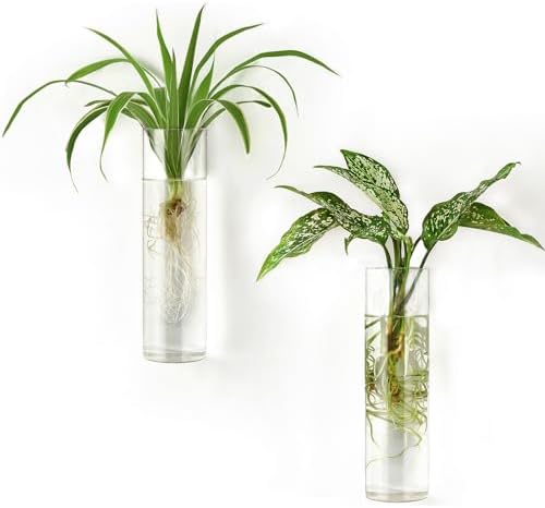 Mkono Wall Hanging Vases, 2 Pack Glass Propagation Stations Flower Planter by Mkono