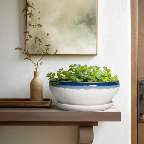 SQOWL Bonsai Pots, 10 Inch Ceramic Pots for Succulents, Blue Off-White - Image 6