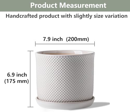 8 Inch Plant Pot: Ceramic Planter with Drainage Hole & Saucer Indoor Outdoor Plants - Flowerpot with Bonded Tray for Home Office - Beaded Embossed Style, Cream White - Image 2