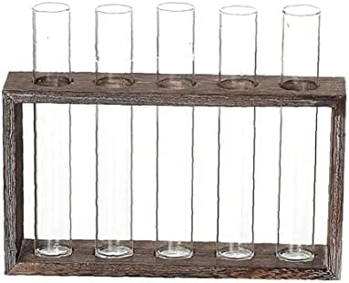 Tube Shape Glass Vase with 3 or 5 Holes Wood Stand Decoration Flower Vontainer for Hydroponics Plant Transparent Flower Arrangement Vase-5 Tube by Unknown