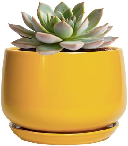 G EPGardening Ceramic Plant Pot - 6 Inch Ceramic Planter with Drainage Hole and Tray, Modern Round Planter, Flower Pot for Indoor Outdoor Plants, Plants Lovers Gifts, House Garden Decor, Yellow by GEPGardening