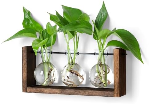 YIBOT Wall Hanging Planter Propagation Station 3 Bulb Glass Flower Vase by YIBOT