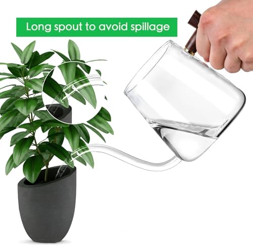 Watering Can Indoor Plants, 27 OZ Glass Watering Can, Long Curved Spout - Image 2