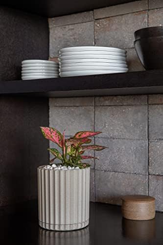 Veradek Demi Series Demi 6" Planter w/Tray - Sand, 2 Pack - Image 5