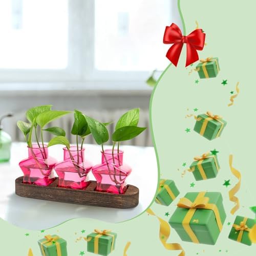 XXXFLOWER Plant Propagation Station with Wooden Stand 3 Pink Star Jars - Image 6