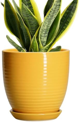 Ceramic Pots for Plants - 6 Inch Plant Pot for Indoor Plants, Ceramic Planter with Drainage Hole and Saucer, Round Decorative Flower Pots, Desk Home Decor, Plant Lover Gifts, Glossy-Yellow by EPFamily