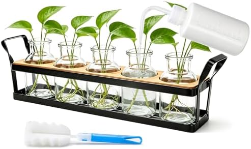 Salzesfalls Propagation Stations with Metal Stand, Tabletop Plant Terrarium by Salzesfalls