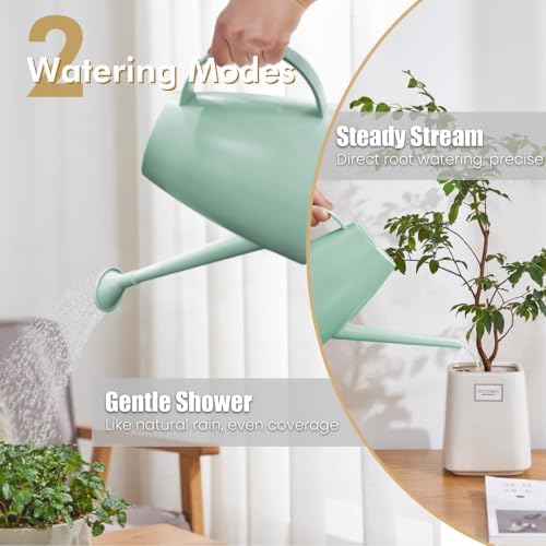 60 oz Watering Can, Small Watering Can for Indoor Plants with Long Spout - Image 2