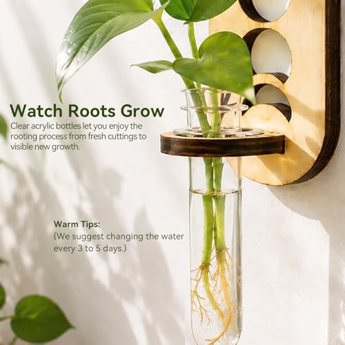 Artilady Plant Propagation Station Wall Hanging, Planter Terrariums Tube - Image 4