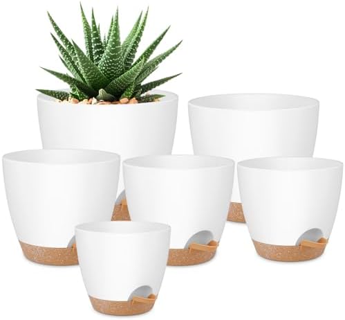 QRRICA Plant Pots 8/7/6.5/6/5.5/5 Inch Self Watering Pots, Set of 6 Plastic Planters with Drainage Holes and Saucers,Plastic Flower Pots,Nursery Planting Pot for Indoor Out Door Plants（White） by QRRICA