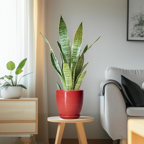 6 Inch Ceramic Plant Pot - Ceramic Pots for Plants, Round Planter with Drainage Hole and Saucer, Modern Flower Pots for Indoor Plants, Desk Home Office Decor, Plant Lover Gifts, Glossy Red - Image 6
