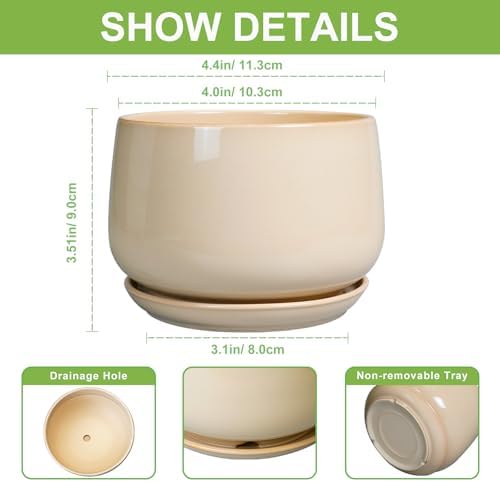 G EPGardening 4 inch Plant Pots - Ceramic Planter with Drainage Hole & Saucer, Small Plant Pots for Indoor Outdoor, Round Succulent Pot, Modern Decorative Flower Pot, Desk Decor, Garden Gifts, Beige - Image 2