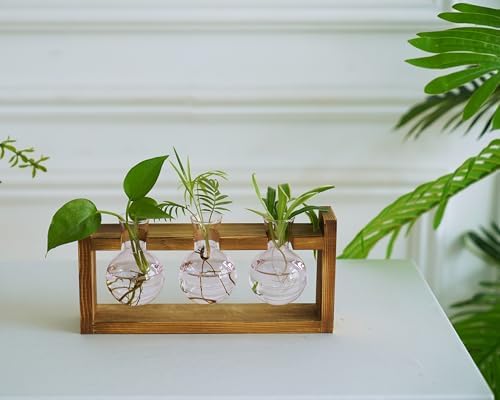 Kingbuy Glass Plant Terrarium Propagation Station, 3 Bulb, Pink - Image 4