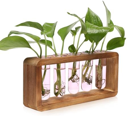 Glass Plant Propagation Station with 5 Test Tubes Colorful Planter Vase by YYHglass