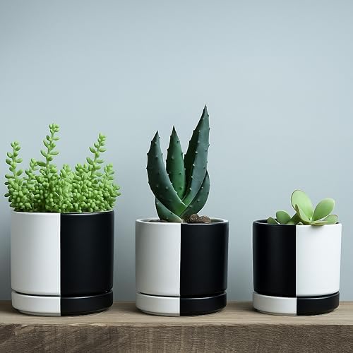 D'vine Dev 4.7 Inch Ceramic Planter Pot, Black White Split, 94-O-B-0 - Image 5