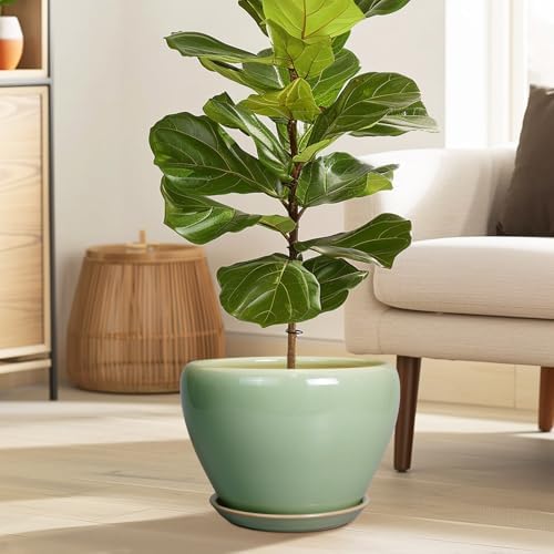 Ceramicfor Ceramic Planter Pot, 10 Inch Plant Pot, Reactive Green - Image 2