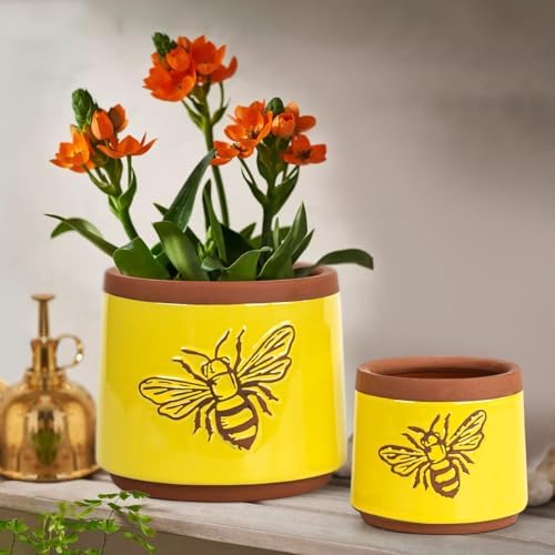 YBX Terracotta Pots Inch with Drainage Holes, Bee Decor, Ceramic Pots for Indoor Plants Flower Pots Outdoor, Succulent, Herbs, Snake Plants (Yellow, 6+4 Inch) - Image 5