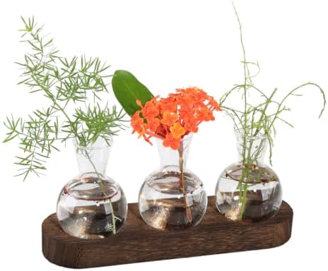Plant Propagation Station with Wooden Stand, 3 Bulbs by XIKEMADI