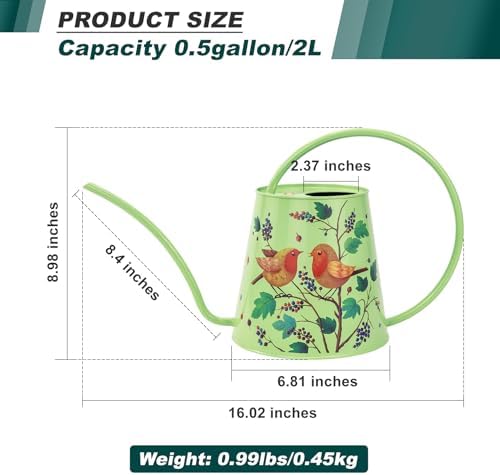 2L Long Spout Watering Can, Stainless Steel Water Can (Robin) - Image 2