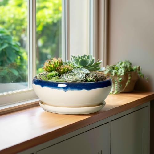SQOWL Bonsai Pots, 10 Inch Ceramic Pots for Succulents, Blue-Beige - Image 4
