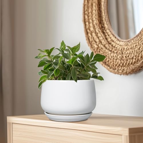 G EPGardening Ceramic Planter 9 Inch - Plant Pots with Drainage and Ceramic Saucer, Flower Pots for Indoor Plants, Modern Outdoor Planter, Living Room Decor, Gifts for Plant Lovers, White - Image 5