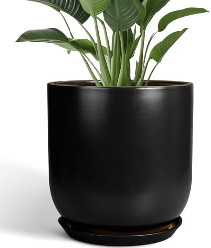 Ceramic Planter Pot - 12 Inch Large Plant Pot with Drainage Hole and Saucer Modern Flower Pot for Indoor Outdoor Plants Home Garden Decor Black by SUNPOTFOR