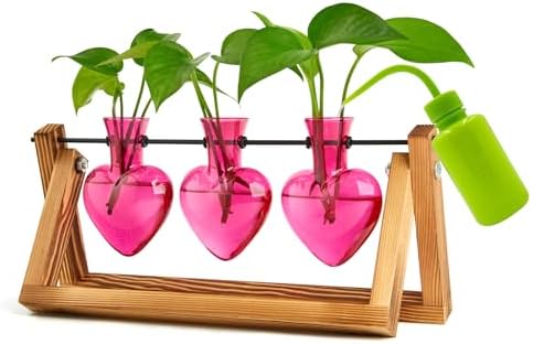 XXXFLOWER Plant Terrarium Propagation Stations 3 Heart Shaped Vases by XXXFLOWER