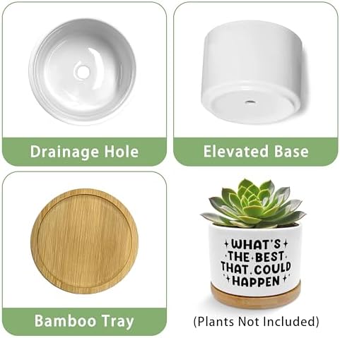 Inspirational Planter Pots, Positive Affirmation Gifts, What's the Best that Could Happen Ceramic Succulent Plant Flower Planters for Home Office Desk Table Shelf(No Plants) - Image 6