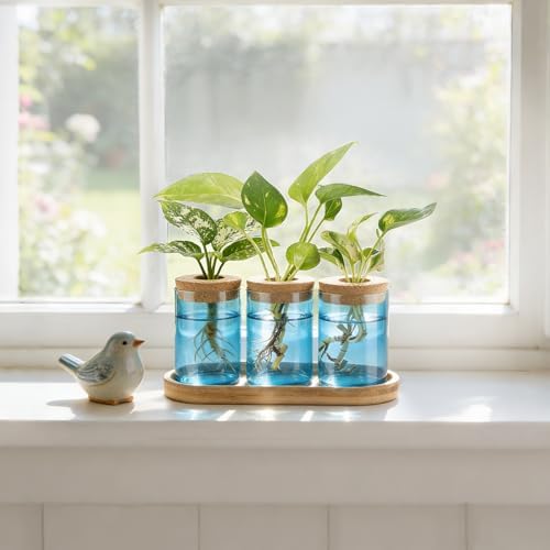 Dahey Plant Propagation Stations, Glass Vases with Wooden Stand & Lid, Blue - Image 7