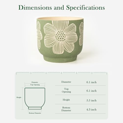6 Inch Ceramic Plant Pots with Drainage Holes for Indoor Plants - Image 3