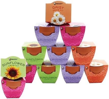BUZZY Seeds Bright Series Grow Kit 12-Pack, Terracotta Pots, Assorted by BUZZY