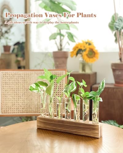 KAXYEW Plant Terrarium with Wooden Stand, Plant Propagation Tubes, 7 Test Tubes Glass Planter for Hydroponic Plant Cuttings Home Office Décor - Image 4