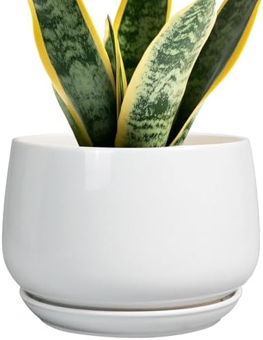 G EPGardening Ceramic Pots for Plants - 7 Inch Planter for Indoor Plants, Round Flower Pots with Drainage and Saucer, Modern Outdoor Planter, Garden Decor, Home Gifts, White by GEPGardening
