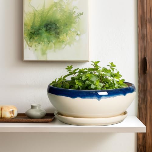 SQOWL Bonsai Tree Pots, 12 Inch Ceramic Succulent Planters, Blue-Beige - Image 5