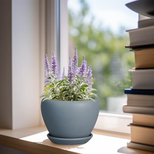 Ceramicfor Ceramic Pot for Plants - 6 Inch Plant Pot Indoor with Drainage Hole and Saucer Decorative Planter for Outdoor Plants Modern Succulent Pots Round Flower Pots Gray - Image 2