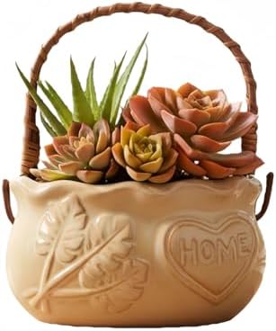 Handheld for Ceramic Succulent Planter Pots, Ceramic Plant Pot with Drainage Holes Flower Pots for Cactus, Herbs, Outdoor Plants（Does not Include Plants） (Beige) by SUSOYAOCHEN